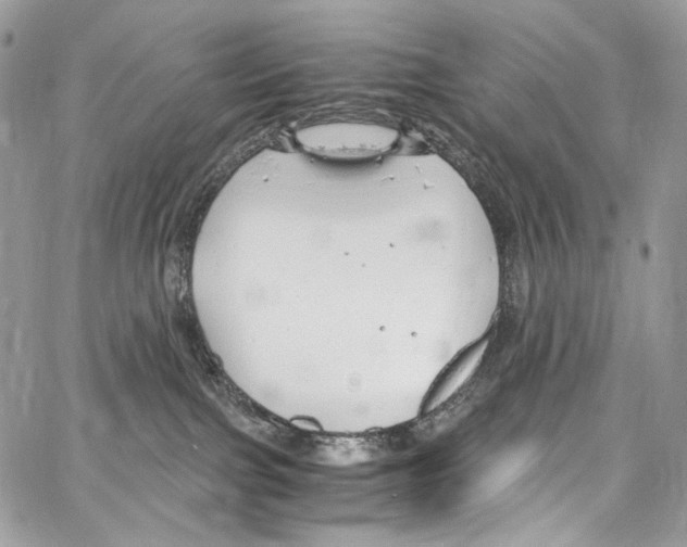 X0000067000091200604241415