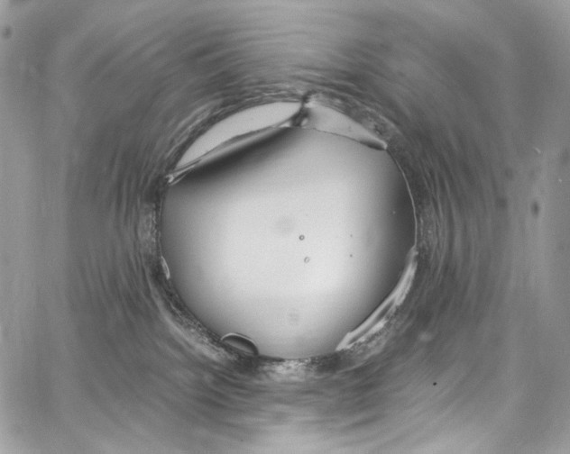 X0000067000092200604241415