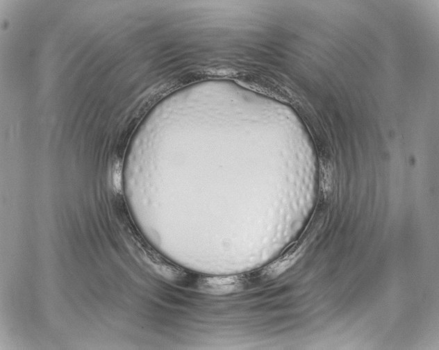 X0000067000095200604241415