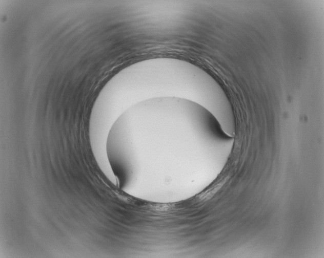 X0000067000096200604241415