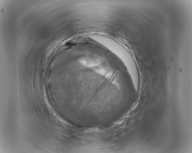 X0000067000097200604241414