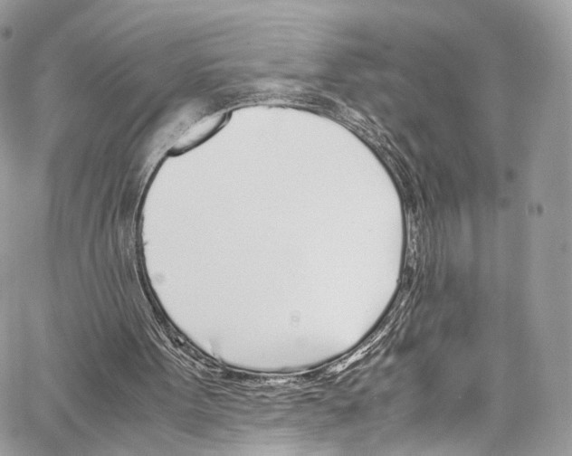 X0000067000099200604241414