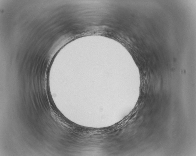 X0000067000100200604241414