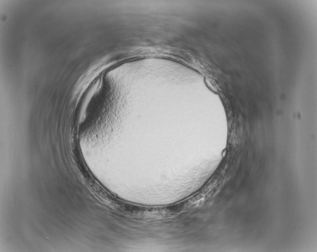 X0000067000103200604241414