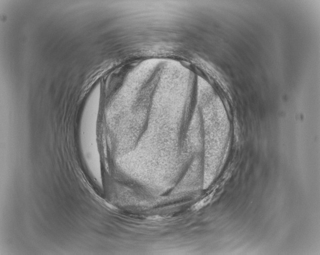 X0000067000105200604241414