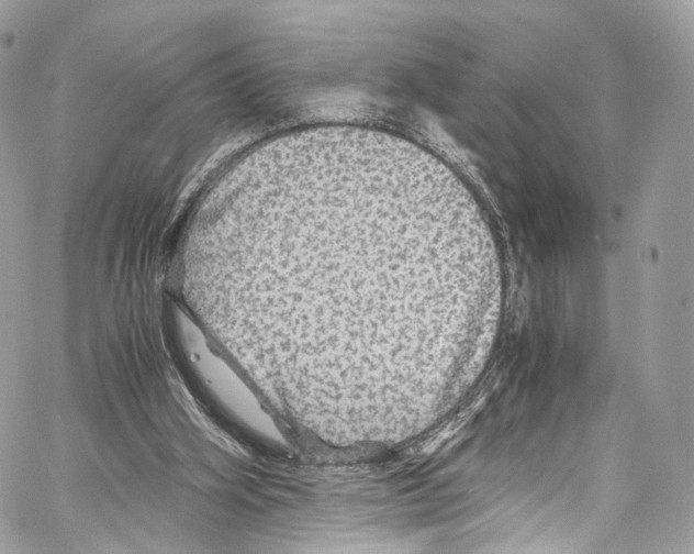 X0000067000106200604241414