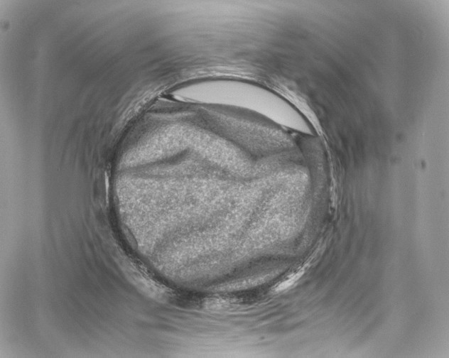 X0000067000109200604241414