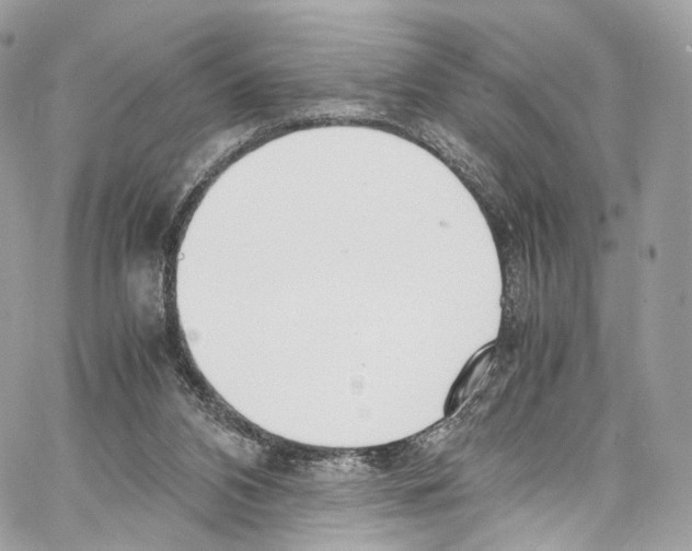 X0000067000112200604241414