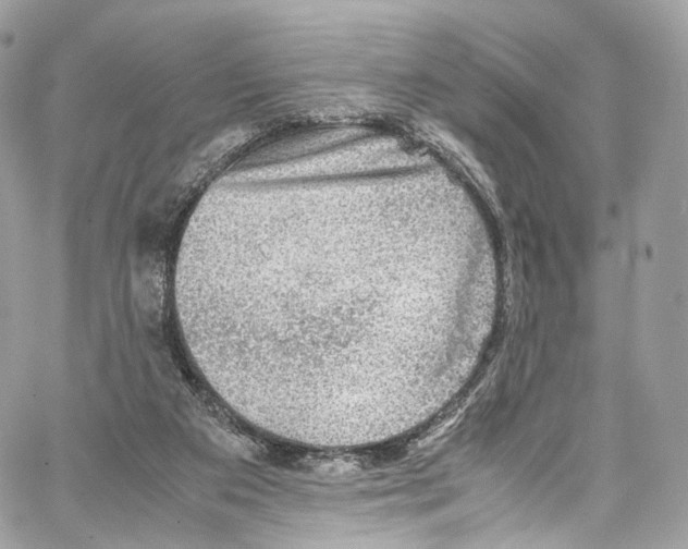 X0000067000113200604241414