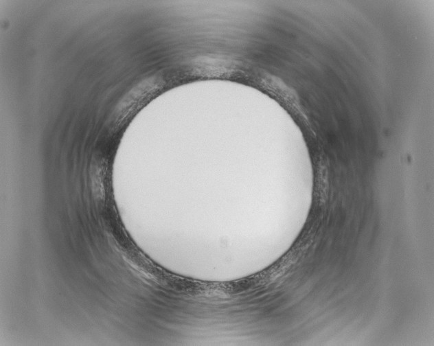 X0000067000114200604241414