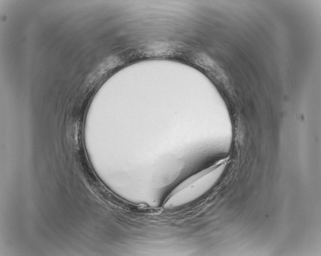 X0000067000115200604241414