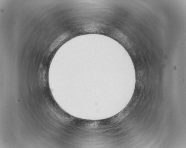 X0000067000116200604241414