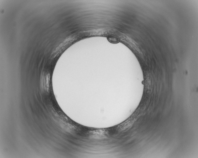 X0000067000118200604241414