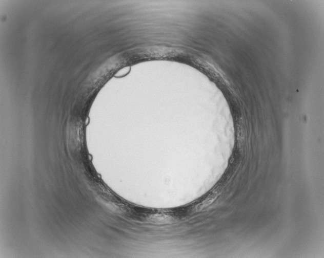 X0000067000119200604241414