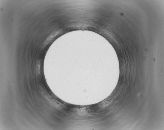 X0000067000120200604241414