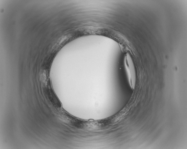 X0000067000121200604241414