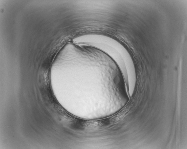 X0000067000123200604241414