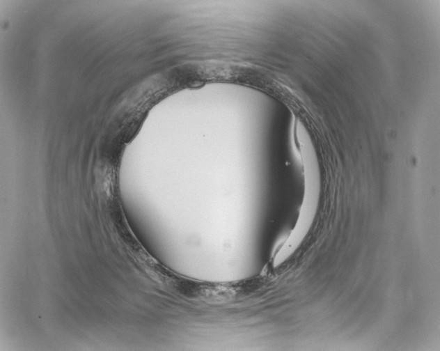 X0000067000125200604241414