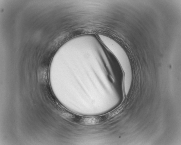 X0000067000127200604241414