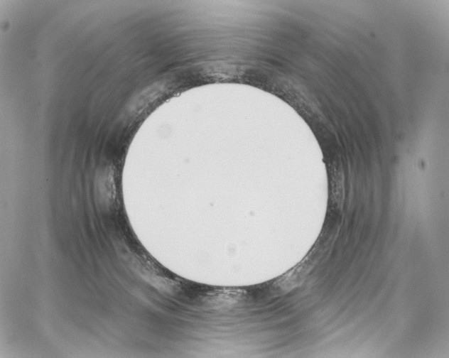 X0000067000128200604241414