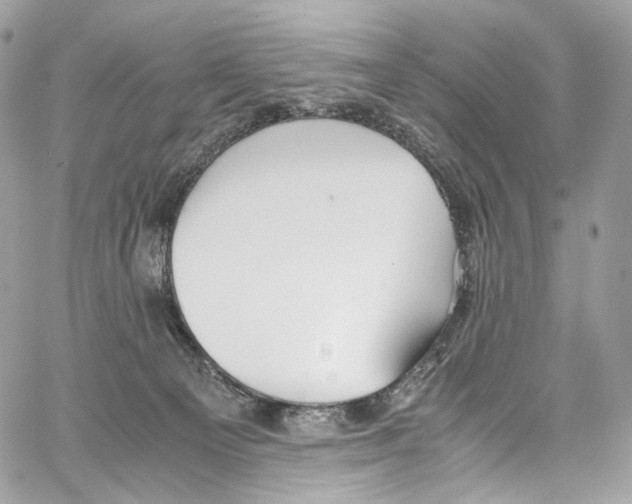 X0000067000129200604241414