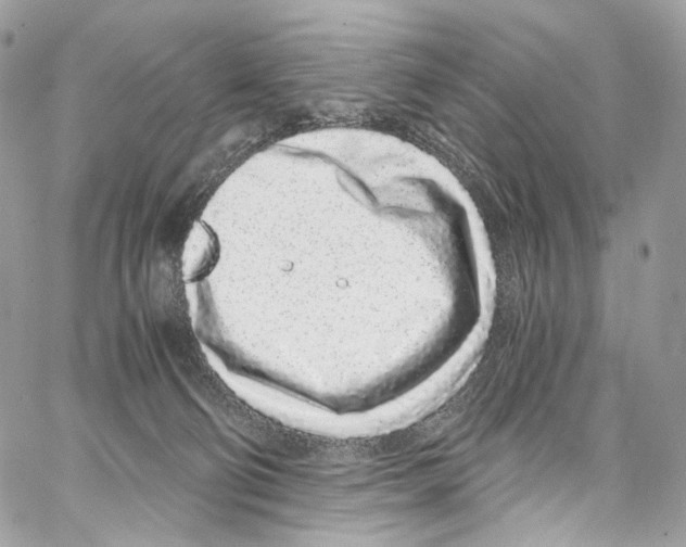 X0000067000130200604241414