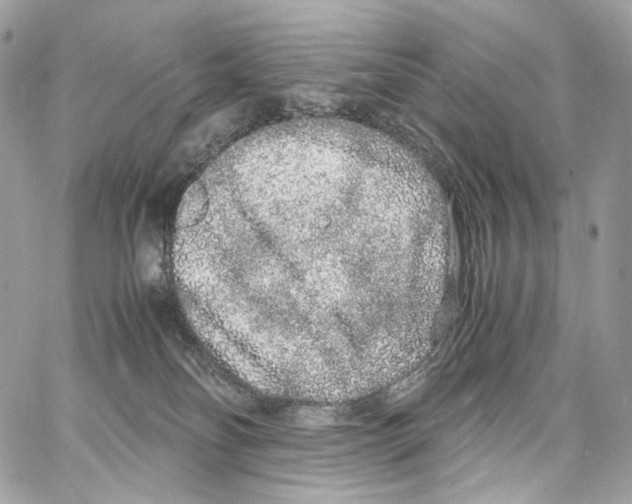 X0000067000134200604241414