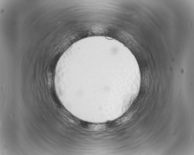 X0000067000135200604241414