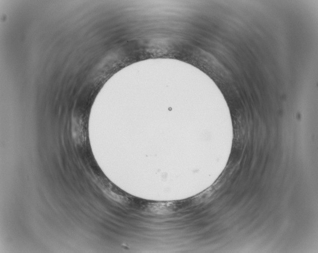 X0000067000136200604241414