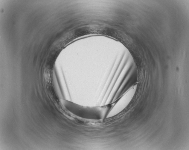 X0000067000137200604241414