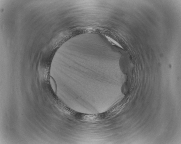 X0000067000139200604241414