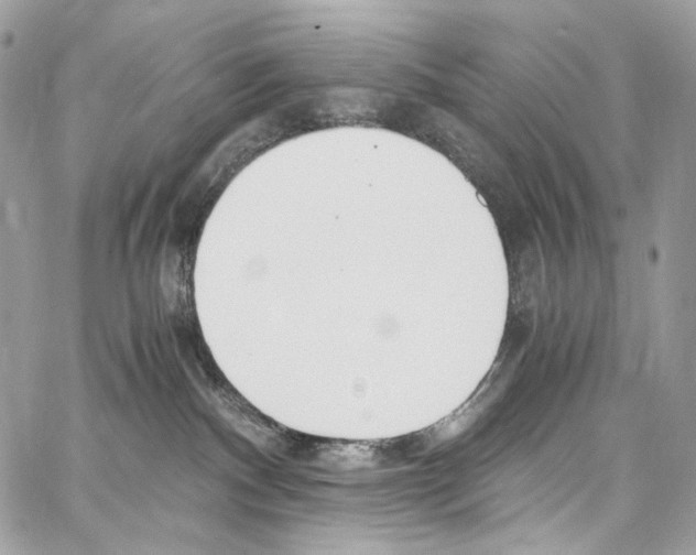 X0000067000140200604241414