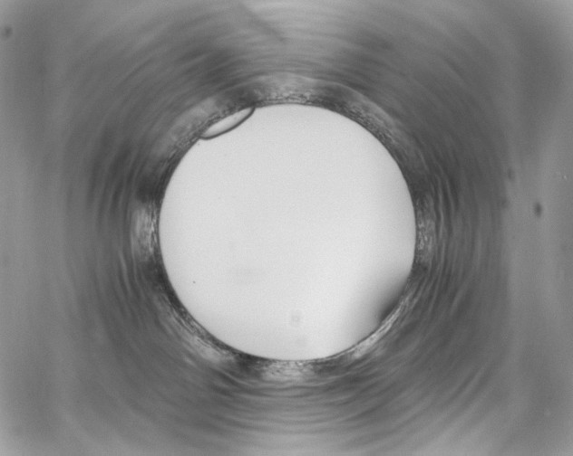 X0000067000142200604241414