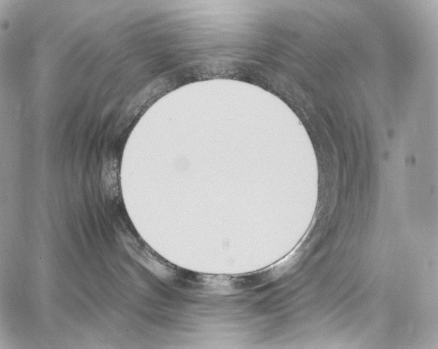 X0000067000144200604241414