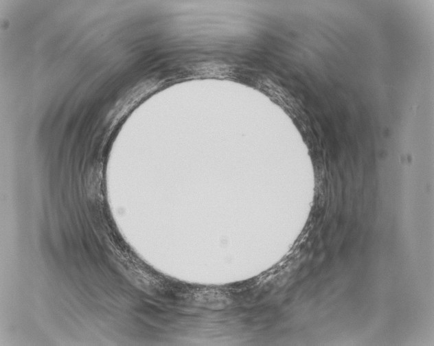 X0000067000146200604241413