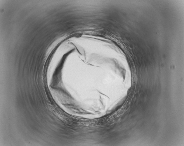 X0000067000147200604241413