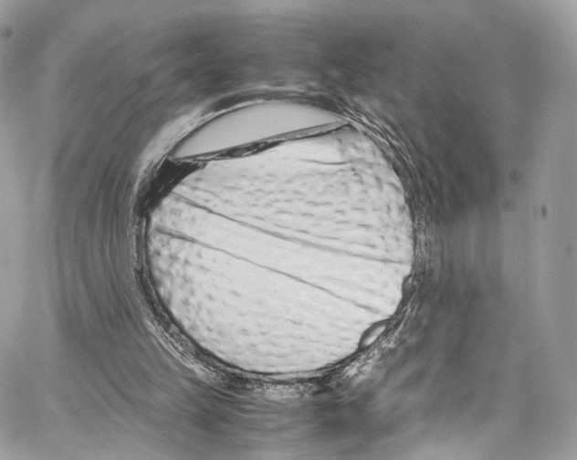 X0000067000149200604241413