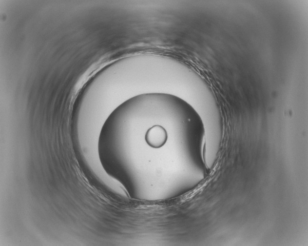 X0000067000150200604241413