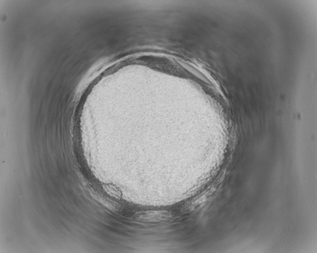 X0000067000151200604241413