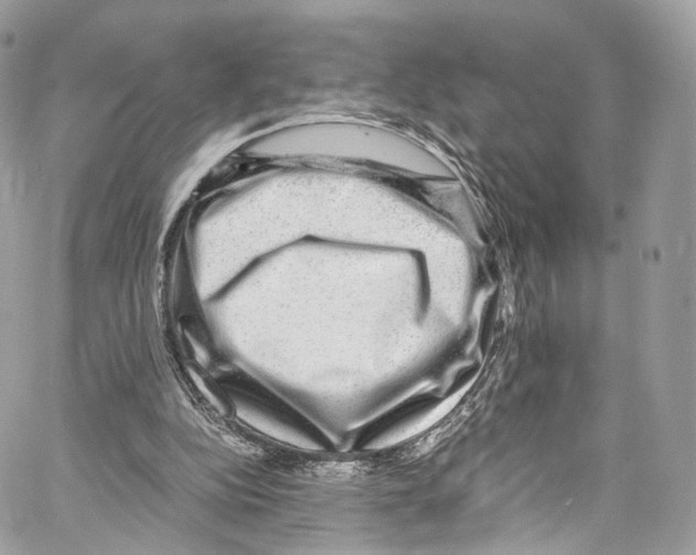 X0000067000152200604241413