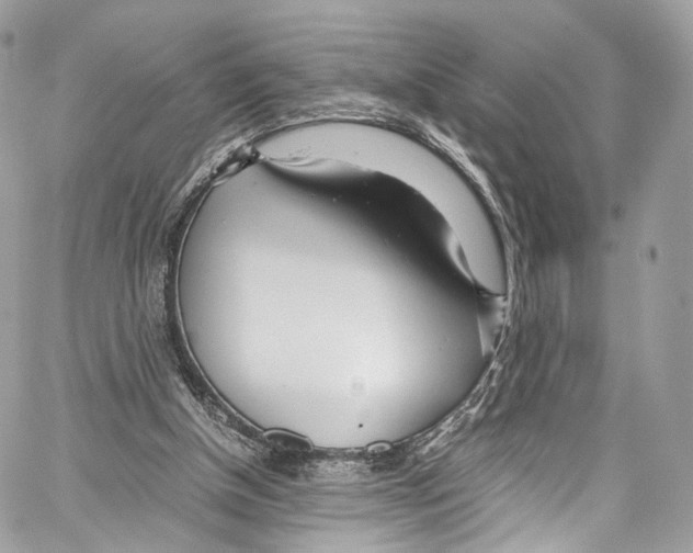 X0000067000154200604241413