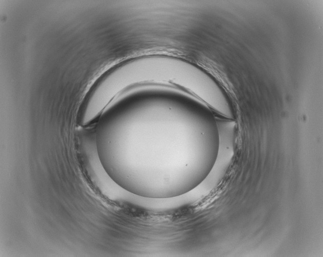 X0000067000156200604241413