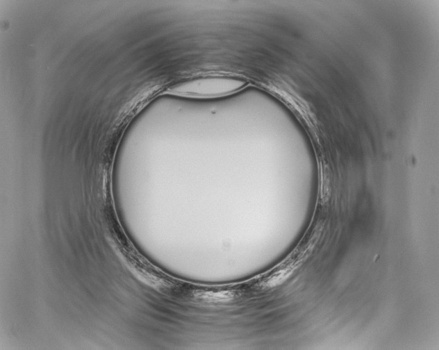 X0000067000157200604241413