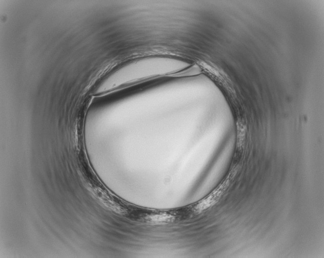 X0000067000158200604241413