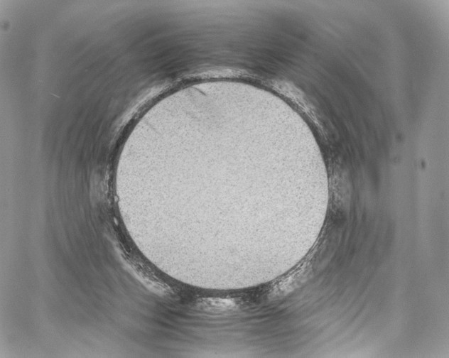 X0000067000159200604241413