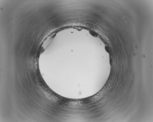 X0000067000160200604241413