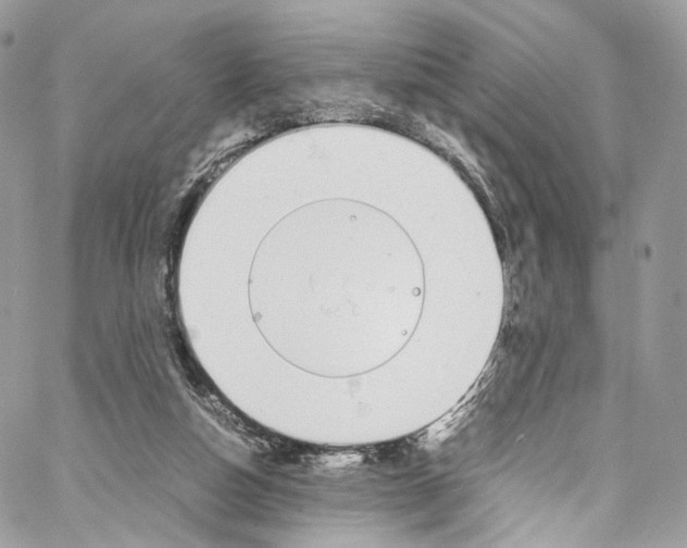 X0000067000162200604241413