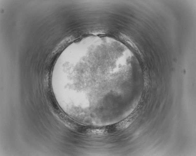 X0000067000163200604241413