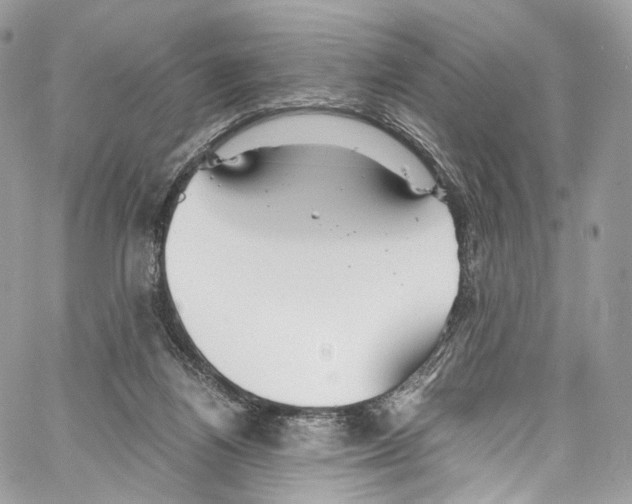 X0000067000164200604241413