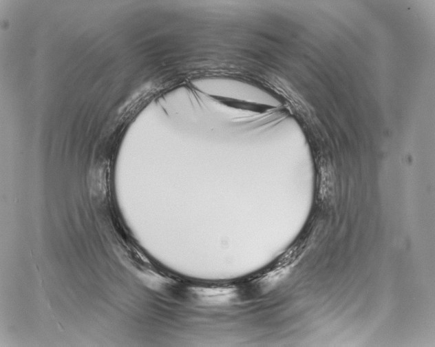 X0000067000165200604241413